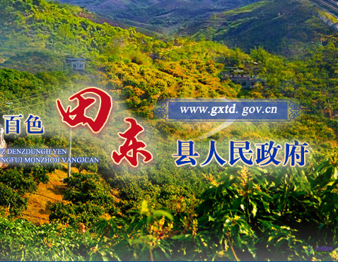 田東縣人民政府