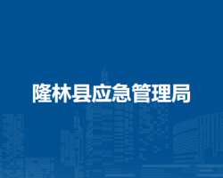 隆林縣應(yīng)急管理局