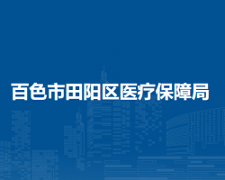 百色市田陽(yáng)區(qū)醫(yī)療保障局