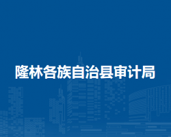 隆林各族自治縣審計(jì)局
