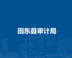 田東縣審計(jì)局