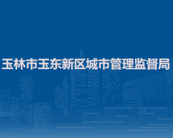玉林市玉東新區(qū)城市管理監(jiān)