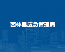 西林縣應(yīng)急管理局