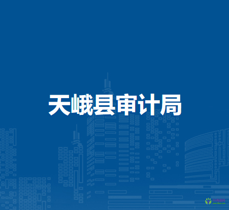 天峨縣審計局