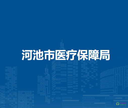河池市醫(yī)療保障局