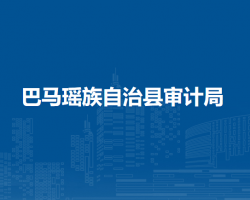 巴馬瑤族自治縣審計(jì)局