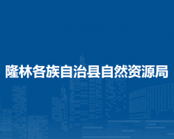 隆林各族自治縣自然資源局