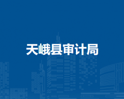 天峨縣審計(jì)局