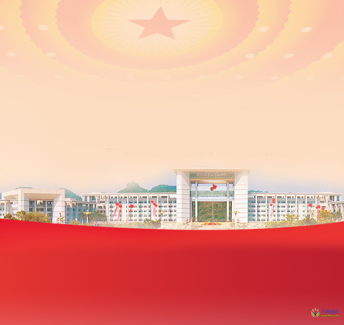 大新縣人民政府