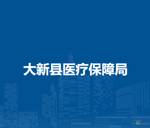 大新縣醫(yī)療保障局