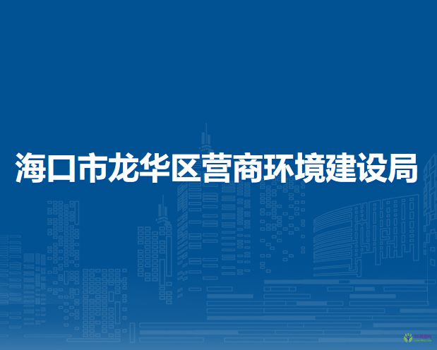 海口市龍華區(qū)營商環(huán)境建設(shè)局