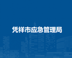 憑祥市應急管理局