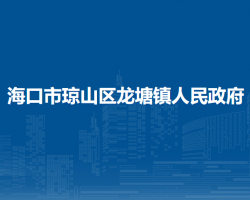?？谑协偵絽^(qū)龍?zhí)伶?zhèn)人民政府