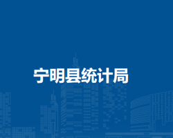 寧明縣統(tǒng)計局