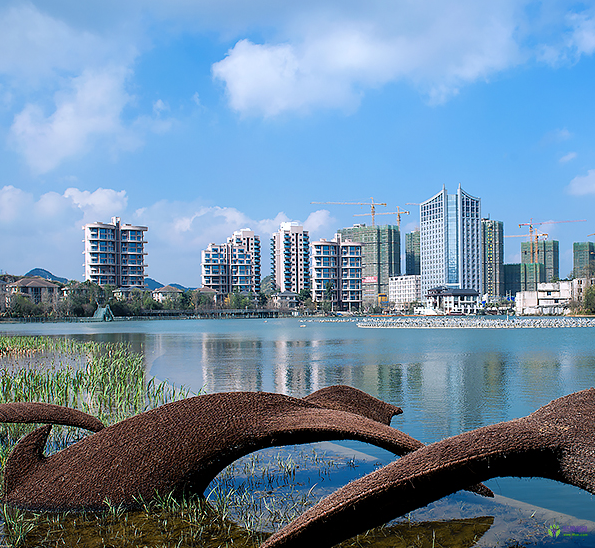 貴陽(yáng)市白云區(qū)人民政府