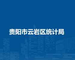 貴陽市云巖區(qū)統(tǒng)計局