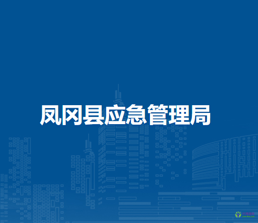 鳳岡縣應(yīng)急管理局