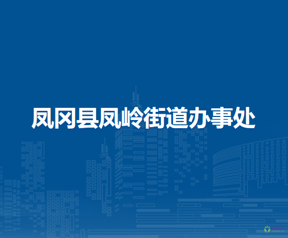 鳳岡縣鳳嶺街道辦事處