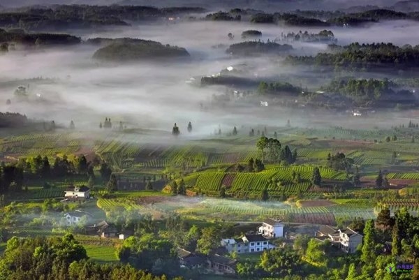 鳳岡縣人民政府