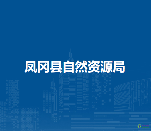 鳳岡縣自然資源局