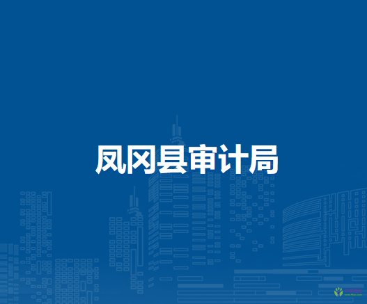 鳳岡縣審計(jì)局