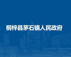 桐梓縣茅石鎮(zhèn)人民政府