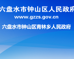 六盤水市鐘山區(qū)青林鄉(xiāng)人民政府