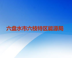 六盤水市六枝特區(qū)能源局