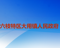 六盤水市六枝特區(qū)大用鎮(zhèn)人民政府