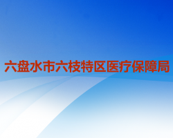 六盤水市六枝特區(qū)醫(yī)療保障