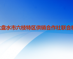 六盤水市六枝特區(qū)供銷合作