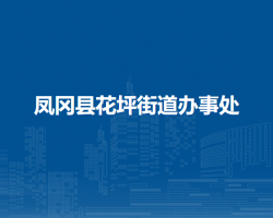 鳳岡縣花坪街道辦事處