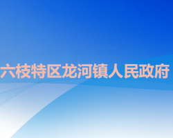 六盤水市六枝特區(qū)龍河鎮(zhèn)人民政府