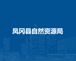 鳳岡縣自然資源局