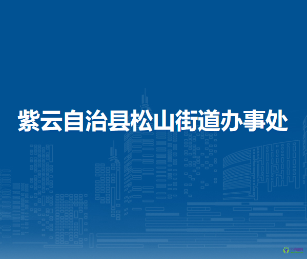 紫云自治縣松山街道辦事處