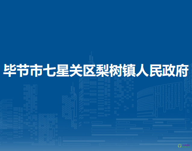 畢節(jié)市七星關區(qū)梨樹鎮(zhèn)人民政府
