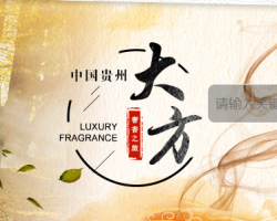 大方縣人民政府