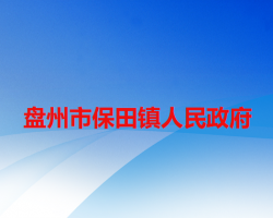 盤州市保田鎮(zhèn)人民政府