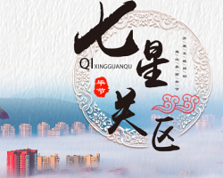 畢節(jié)市七星關區(qū)人民政府