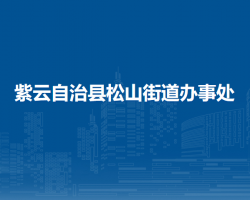 紫云自治縣松山街道辦事處