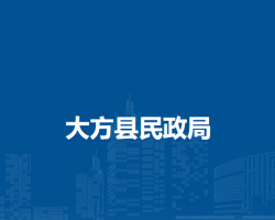 大方縣民政局