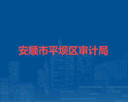 安順市平壩區(qū)審計(jì)局