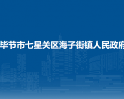 畢節(jié)市七星關(guān)區(qū)海子街鎮(zhèn)人民政府