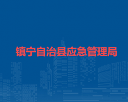 鎮(zhèn)寧自治縣應(yīng)急管理局