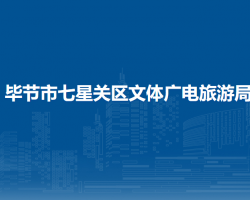 畢節(jié)市七星關(guān)區(qū)文體廣電旅