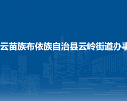紫云苗族布依族自治縣云嶺街道辦事處