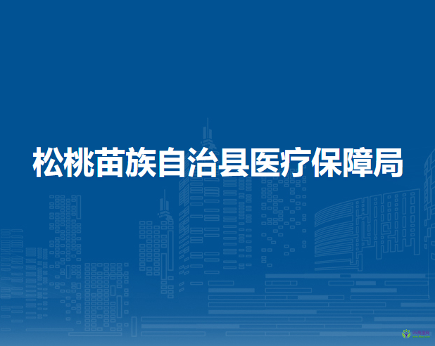 松桃苗族自治縣醫(yī)療保障局