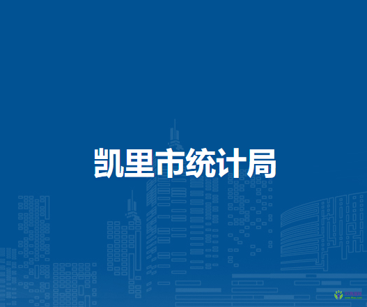 凱里市統(tǒng)計局