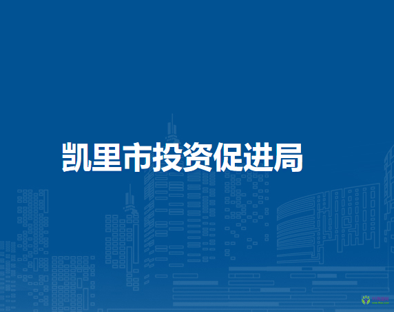 凱里市投資促進(jìn)局