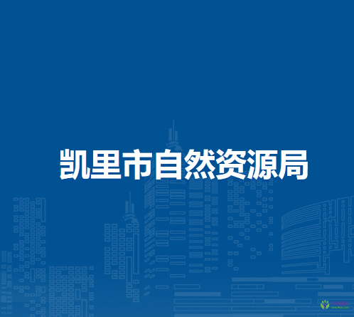 凱里市自然資源局